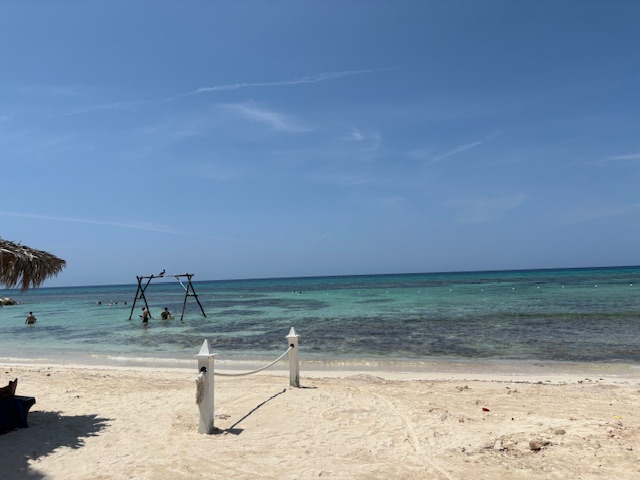 Article ‘The Drafter, the Instructor, their Bill and the Minister’ The Loophole Journal December 2024